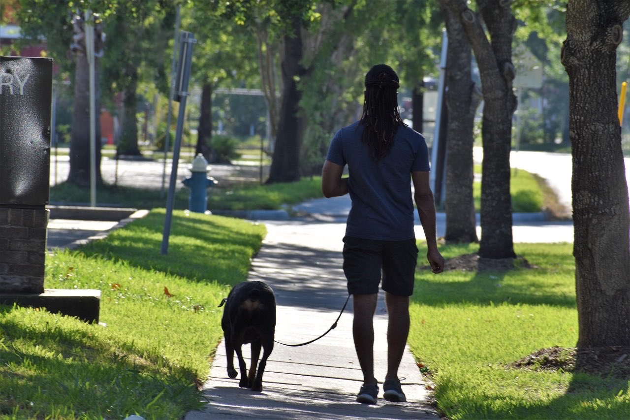 Professional dog walker holding leashed dog during an outdoor walk