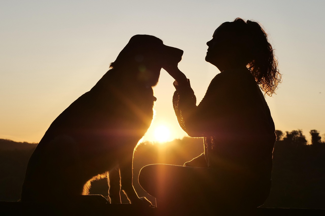 Silhouetted person petting a dog during sunset