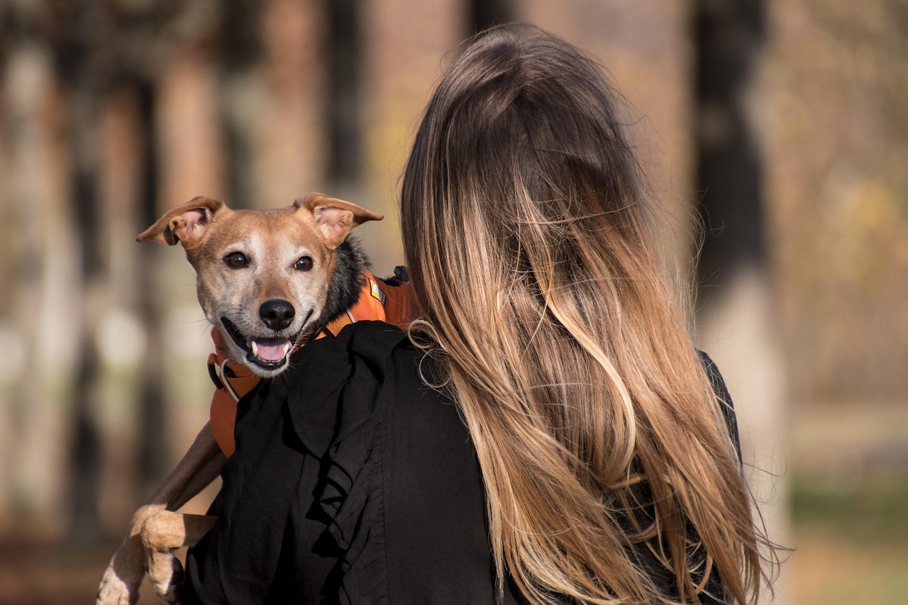 Woman holding happy dog outdoors in urban setting